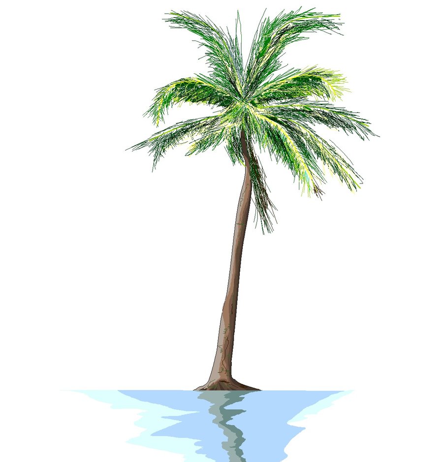 Free Palm Tree Drawing, Download Free Palm Tree Drawing png images