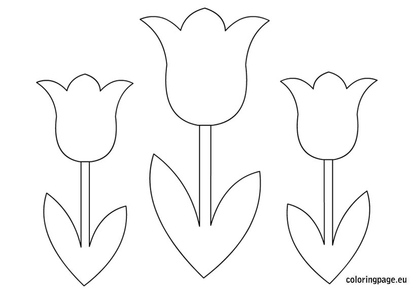 Free Flower Template To Colour, Download Free Flower Template To Colour