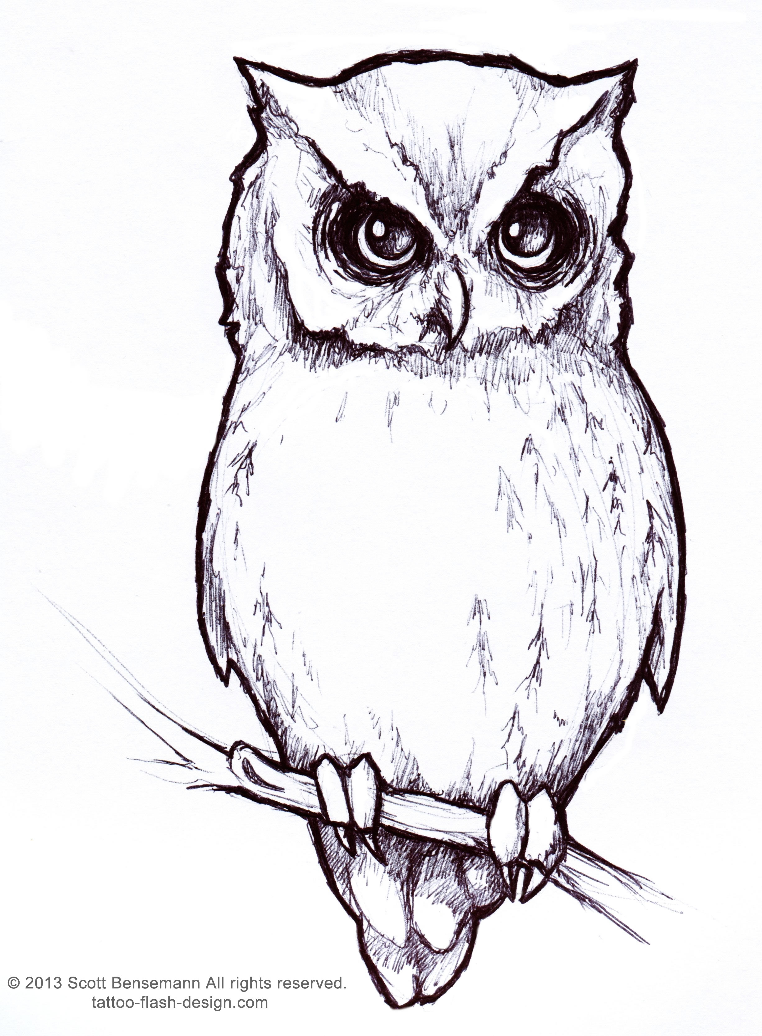 Realistic Owl Drawing Step By Step