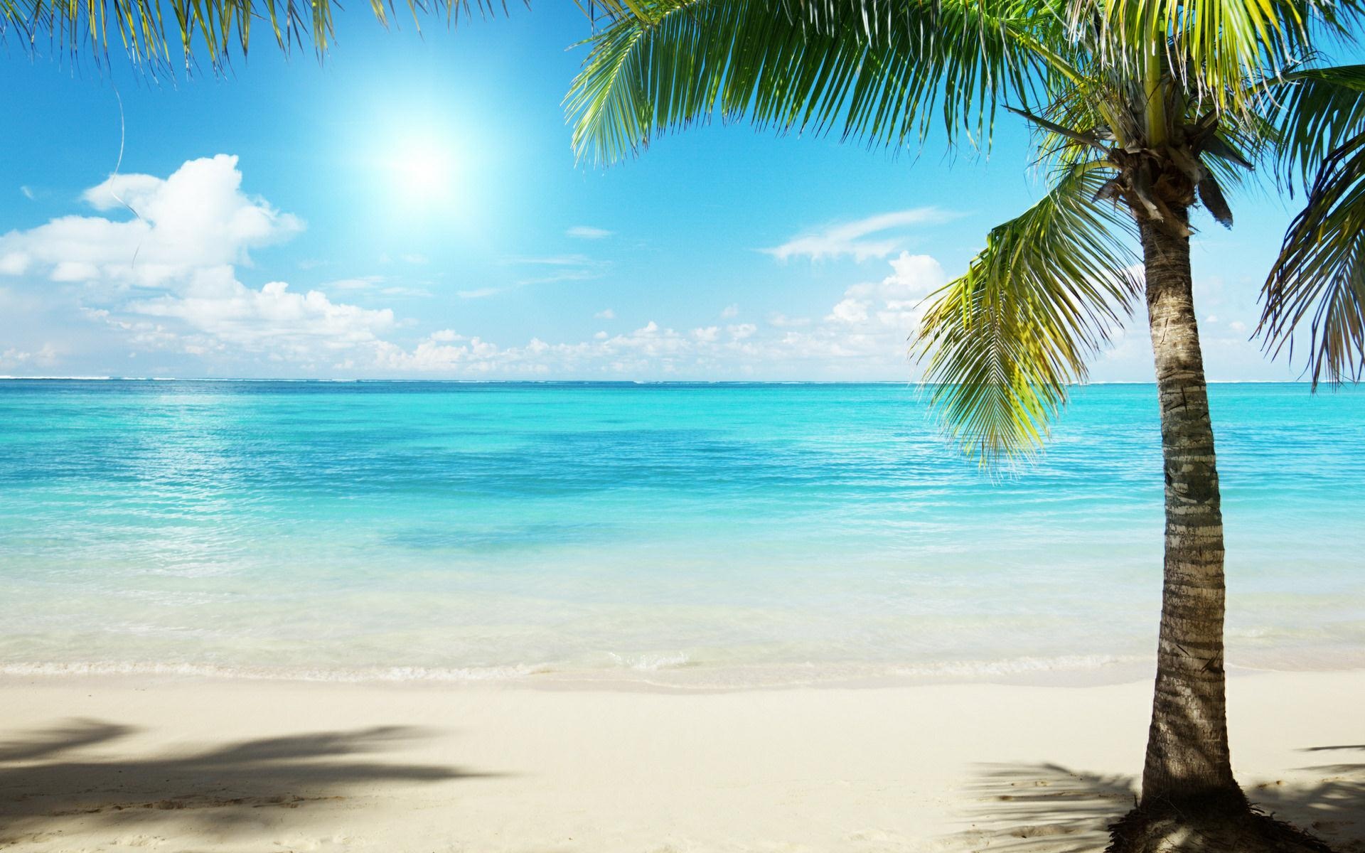 Beach Tropical Background is a HD Wallpaper | HD Wallpapers