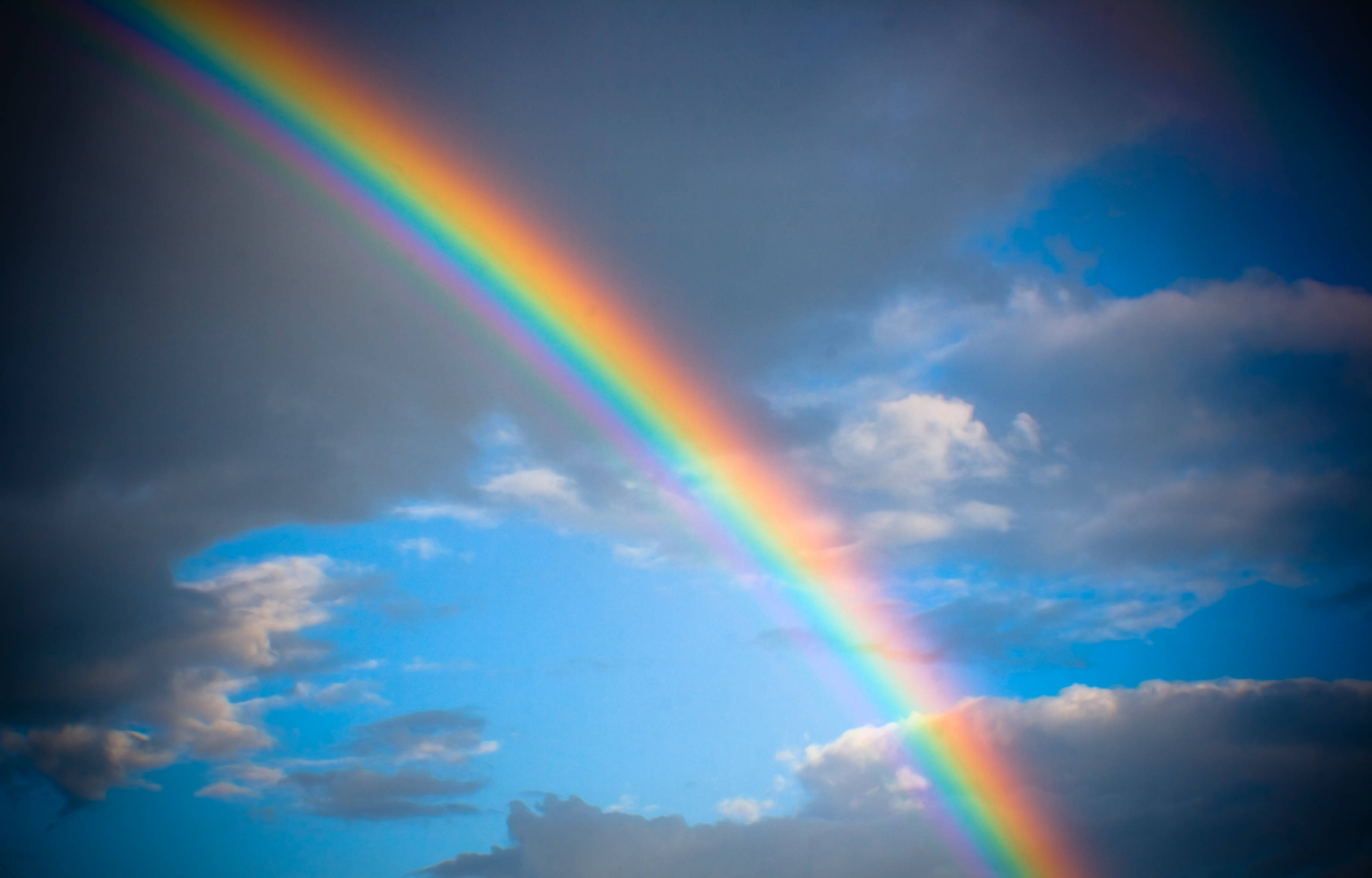 Parshat Noach: Why a Rainbow? | Tribe Magazine