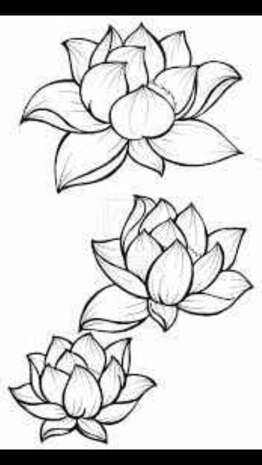 tattoo drawings of lotus flowers