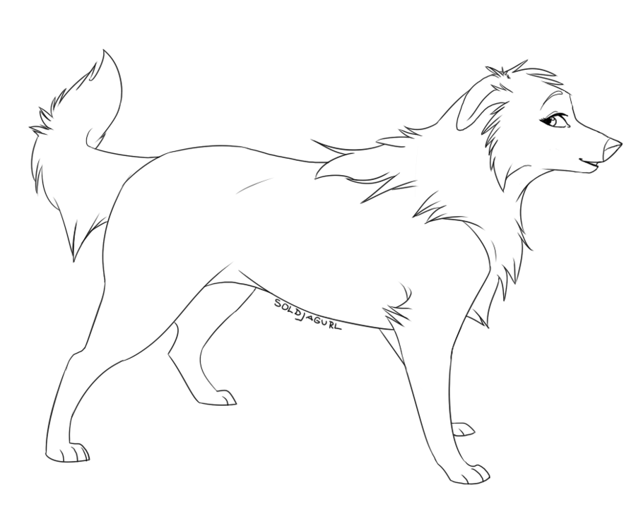 Female Border Collie Template by Soldjagurl on Clipart library