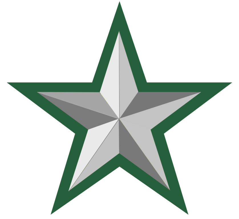 File:Silver star with green border 2 - Wikimedia Commons