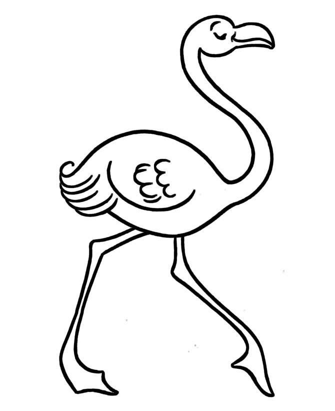 2014 flamingo coloring pages