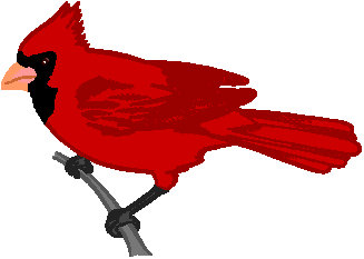 Free Cardinal Clipart - Clipart library