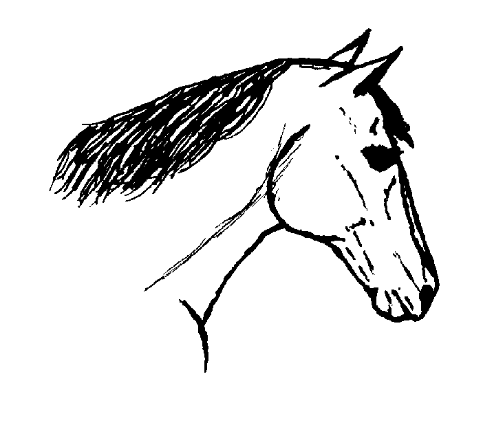 Horse Head Drawings Clip Art - Clipart library - Clipart library