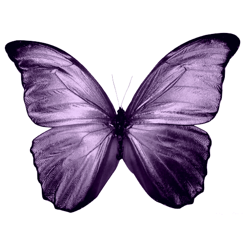 Buterfly PNG2 by MyPluginbaby13 on Clipart library