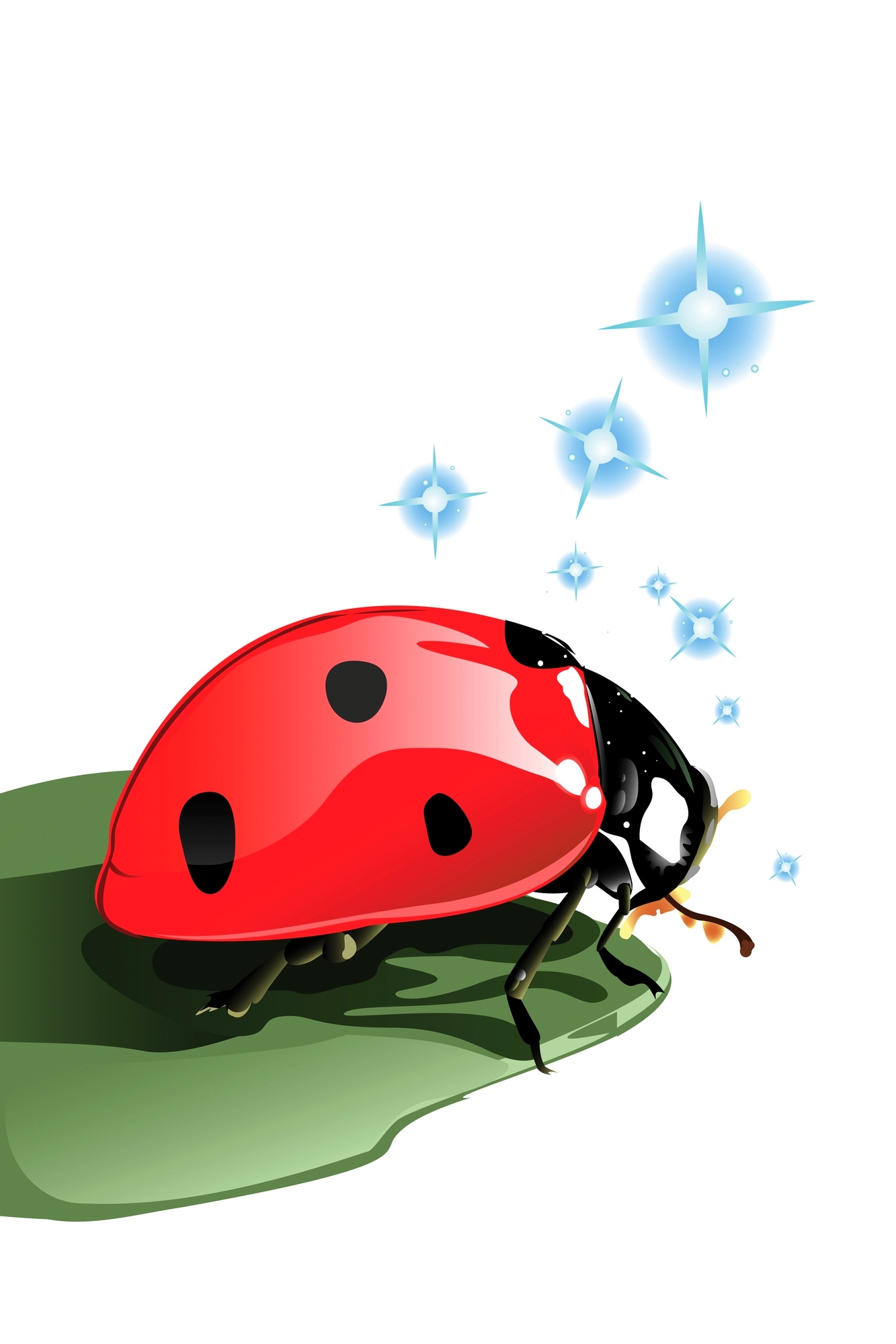 Ladybug Drawing | Courseimage
