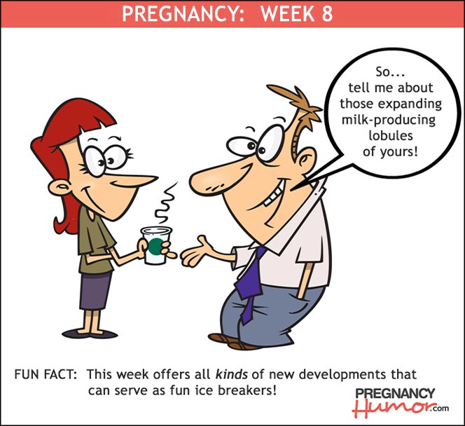 8 weeks pregnant meme - Clip Art Library