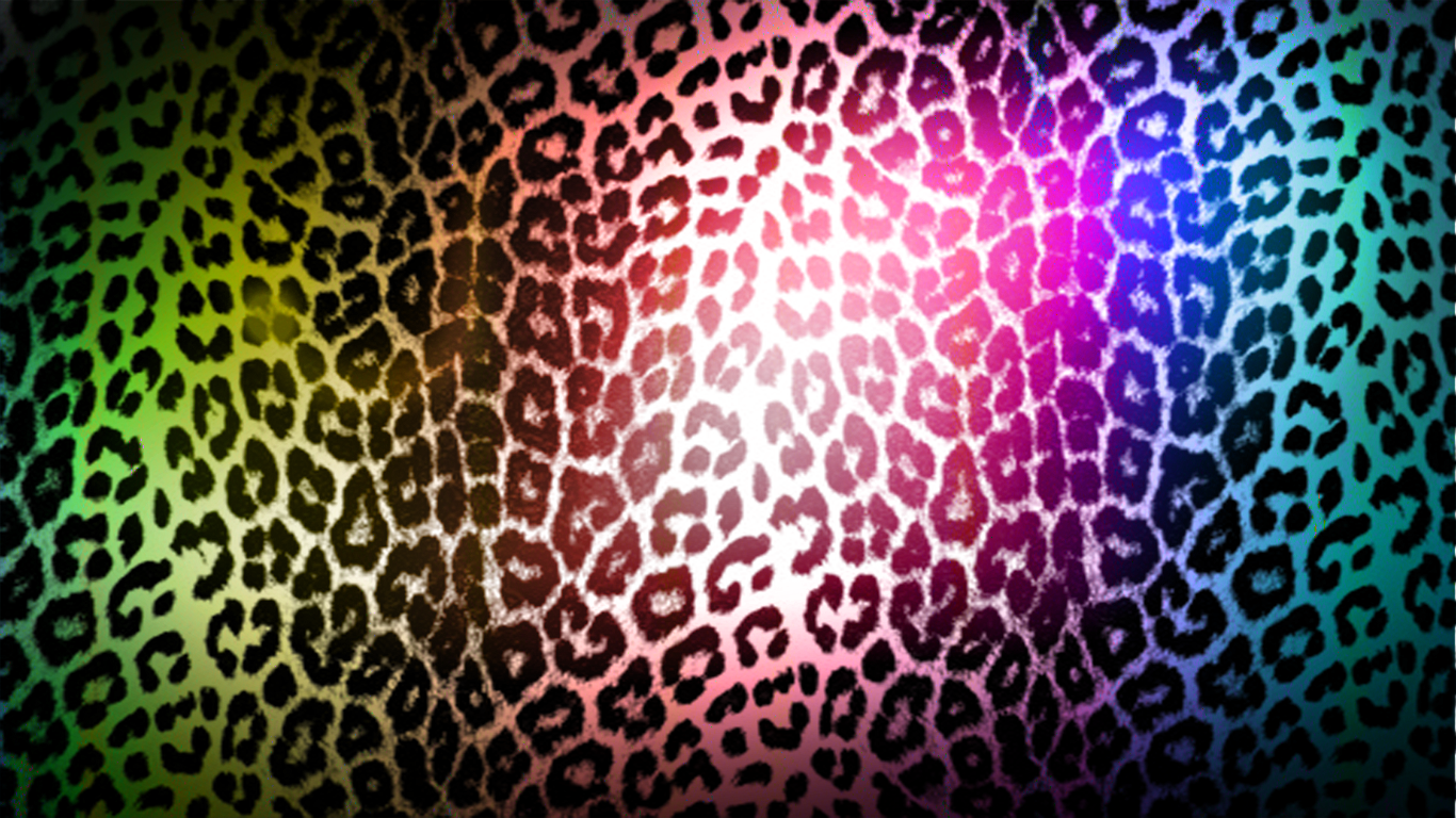 Download Zebra Leopard Print Yferabo Blog Wallpaper 1366x768 