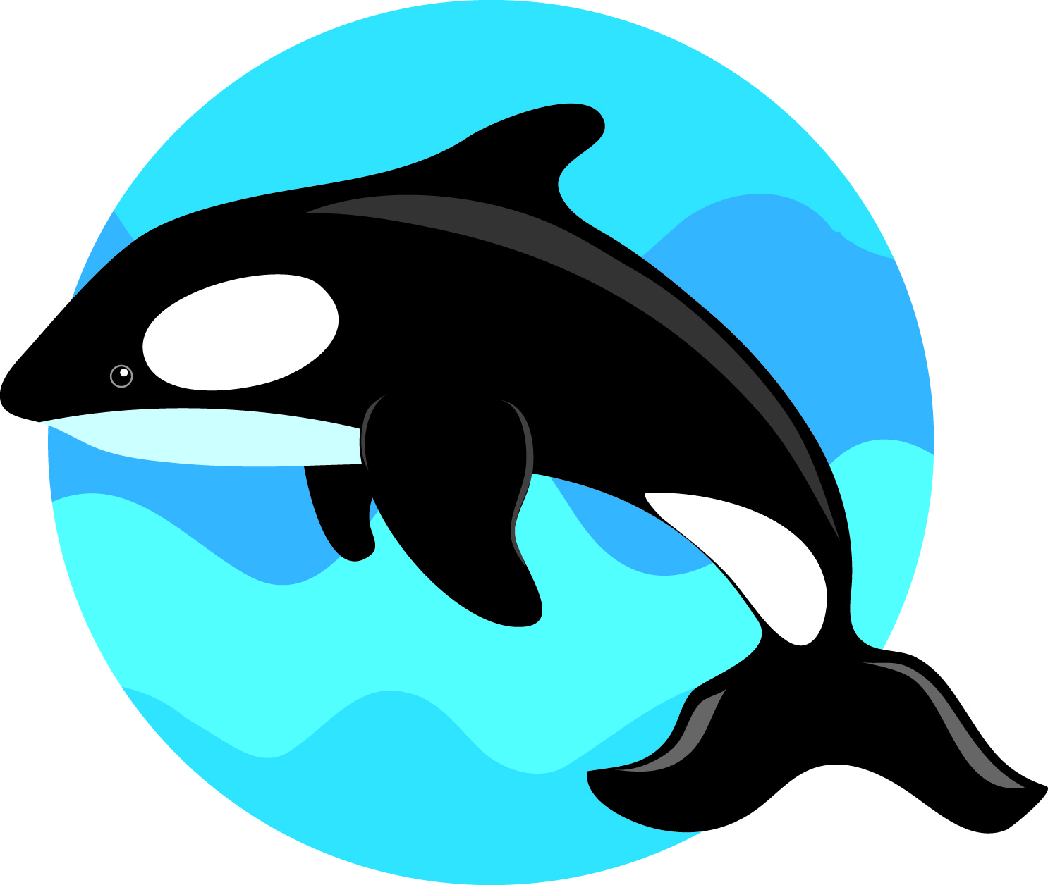 cartoon killer whale drawing easy Clip Art Library