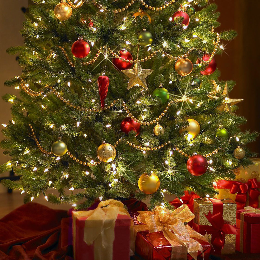 Recycle Your Christmas Tree | AME Landscape Companies