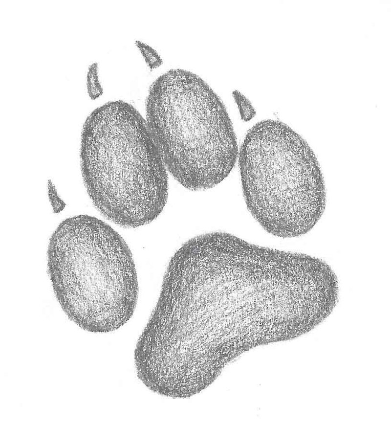 udskille Far korn drawings of wolf paws - Clip Art Library