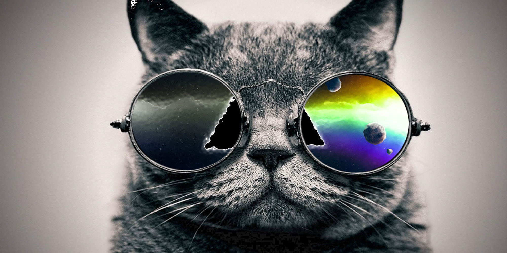 15 Cool Cats On Google+