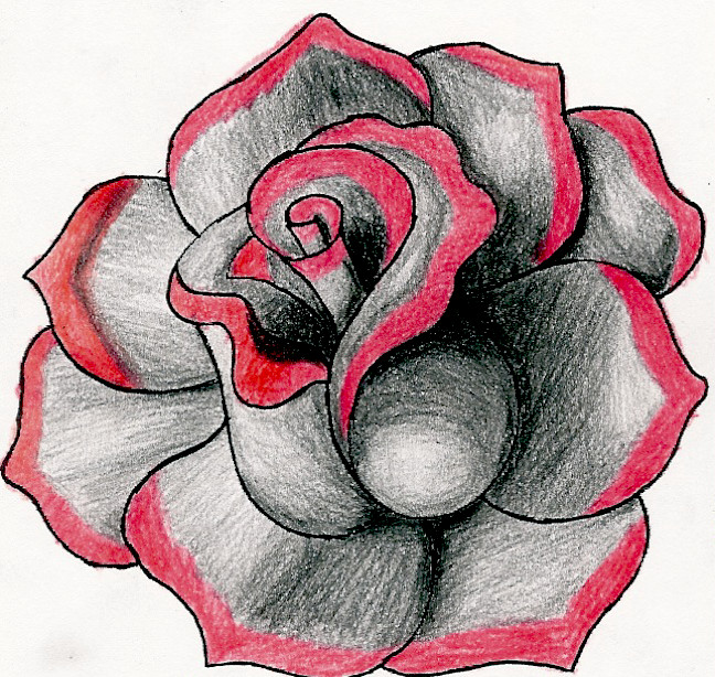 red rose for drawing - Clip Art Library