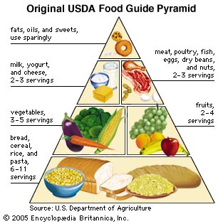 simple food pyramid go grow glow