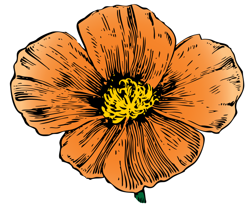 Free to Use  Public Domain Flowers Clip Art - Page 4