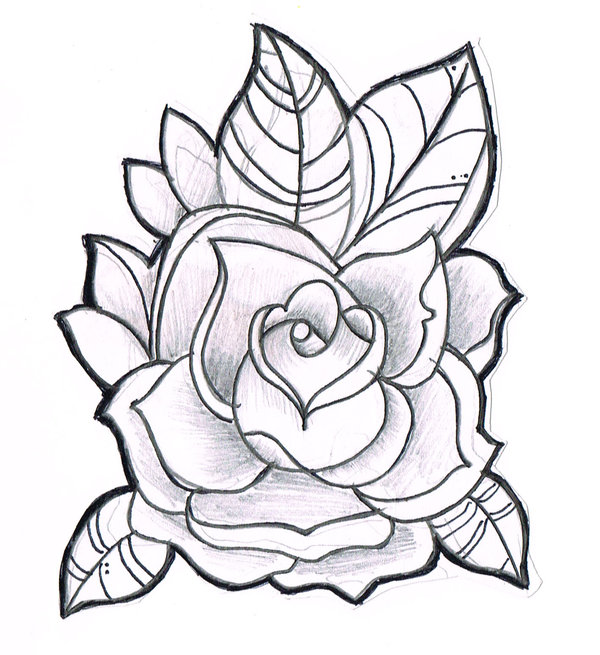 Line Drawing Of Rose - Clipart library