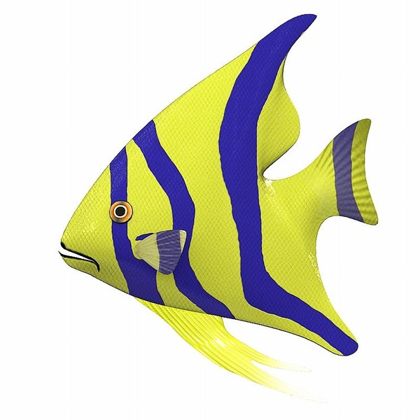 fish clip art animation - photo #45