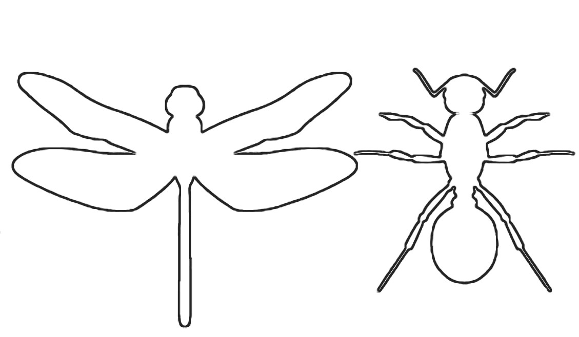 Gallery For  Dragonfly Outline