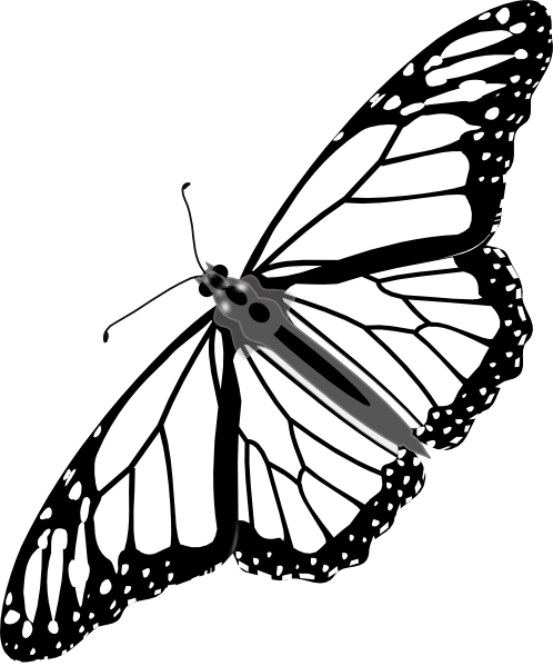Monarch Butterfly Bw No Shadow clip art - vector clip art online 
