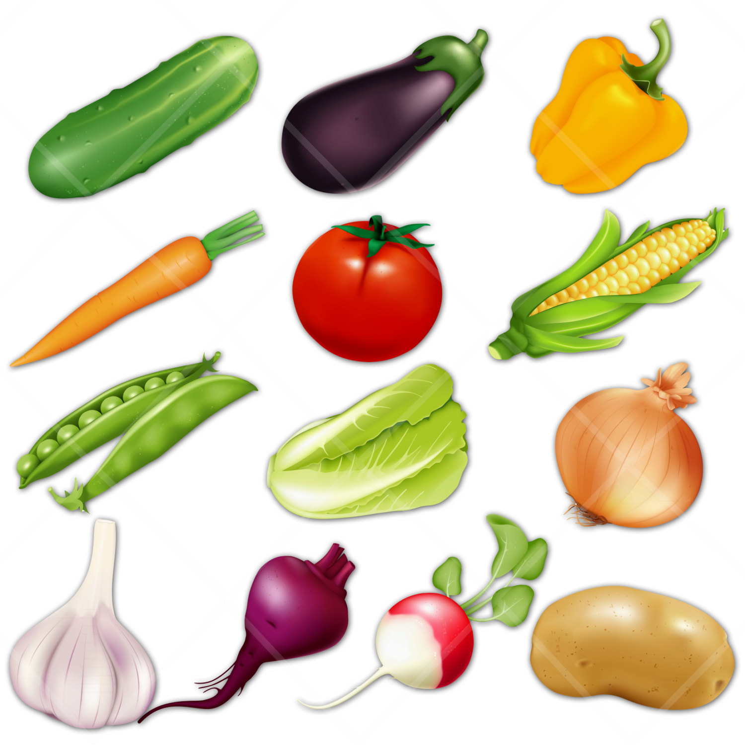 Digital Download Discoveries for VEGETABLES CLIPART 