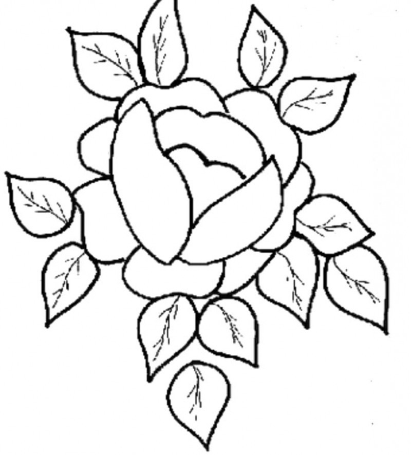 Featured image of post Cute Rose Flower Coloring Pages