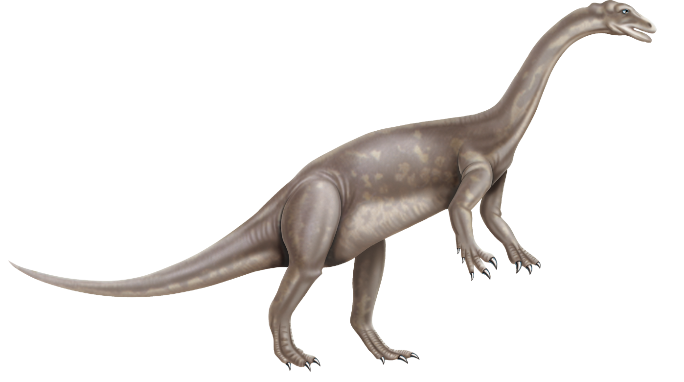 Free Free Dinosaur Pictures, Download Free Free Dinosaur Pictures png