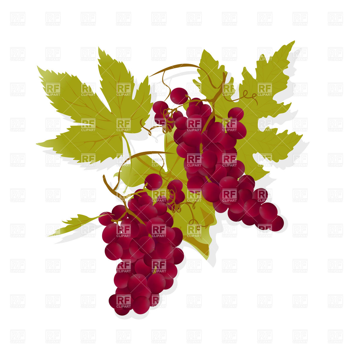 Bunch of red grapes and leaves, Food and Beverages, download 