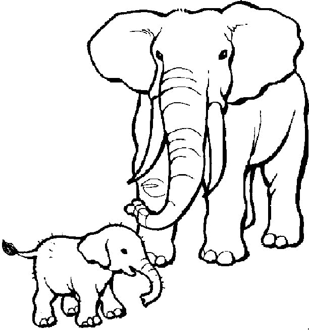 elephant coloring page 04 elephant coloring pages | Inspire Kids
