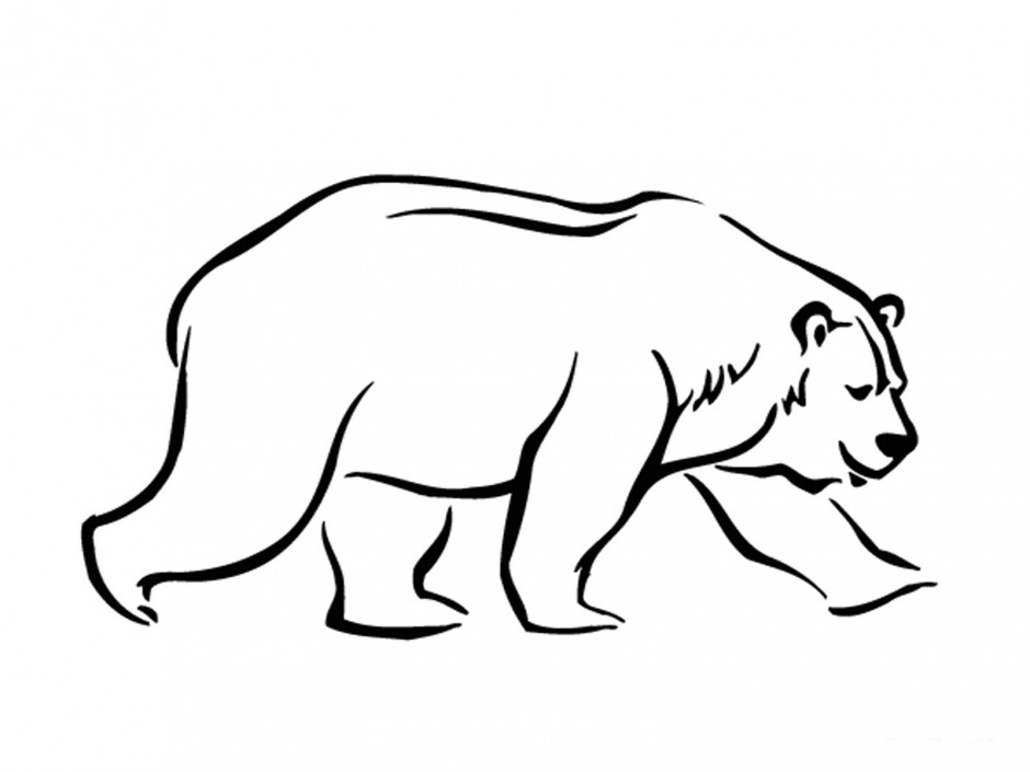 Polar Bear Line Drawing Clipart library 256526 Black Bear Coloring Page