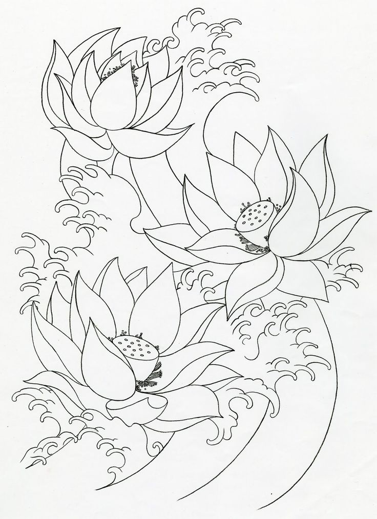 tattoo drawings of lotus flowers