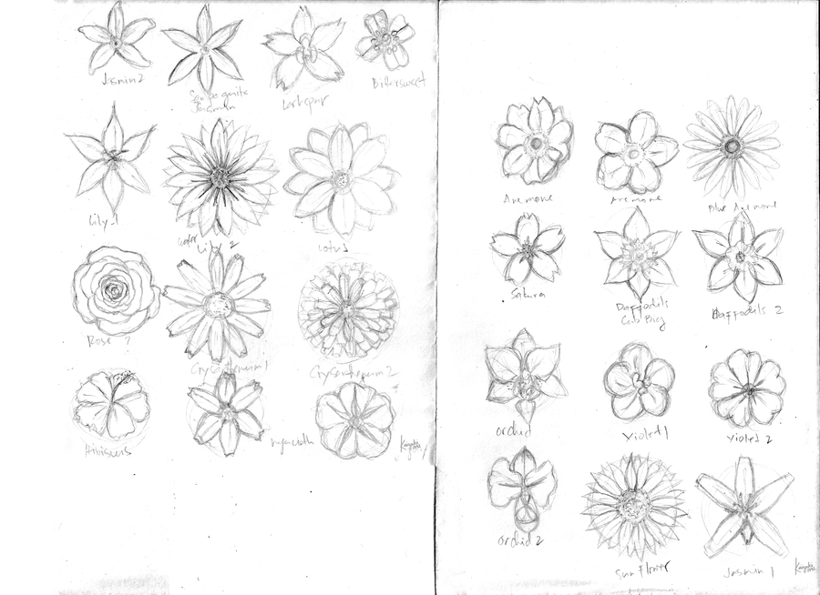 Random Flowers Doodle by kaisaki1342 on Clipart library