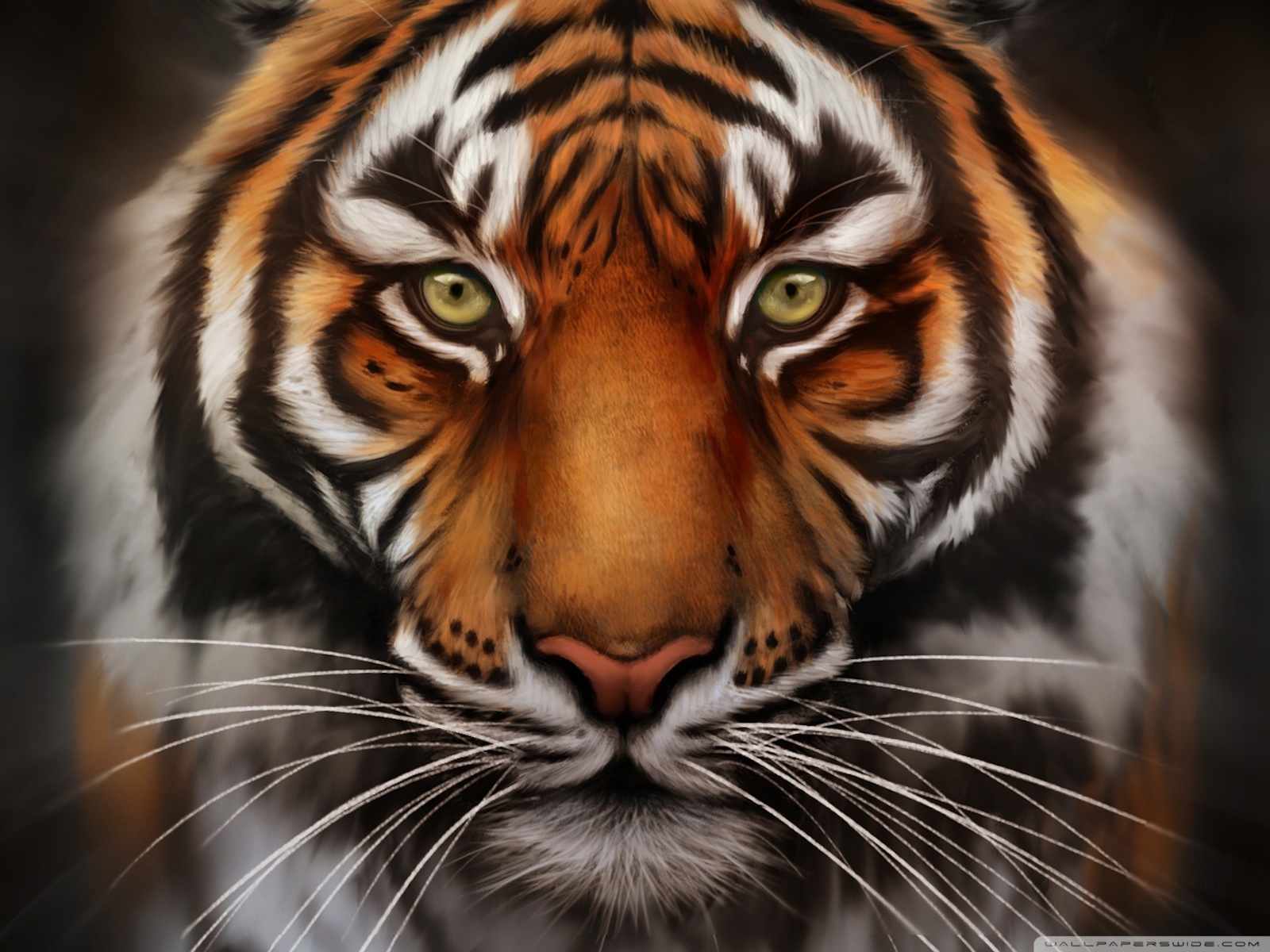 Free Tiger Face Download Free Clip Art Free Clip Art On Clipart Library