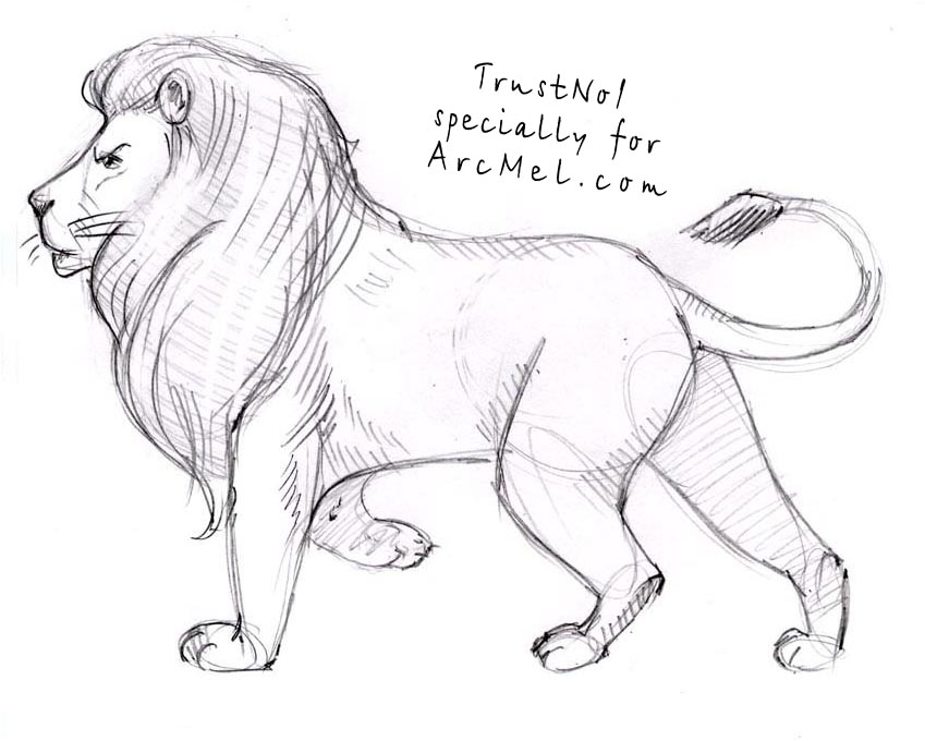 How To Draw Lions In Anime : How To Create Lion Drawings That Look