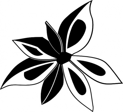 Anise Plant clip art - Download free Nature vectors