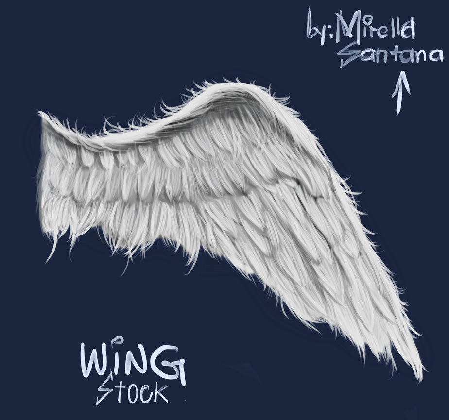best angel wings png - Clip Art Library.