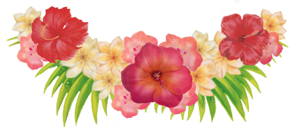 Free Hawaii Flores, Download Free Hawaii Flores png images, Free ClipArts  on Clipart Library