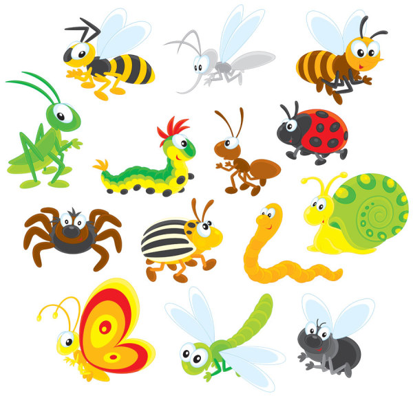 Cartoon Pictures Of Insects And Bugs