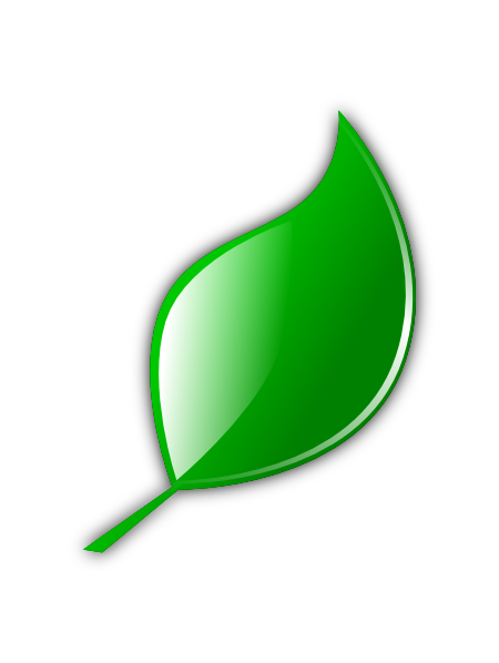 Free Cartoon Leaf, Download Free Cartoon Leaf png images, Free ClipArts