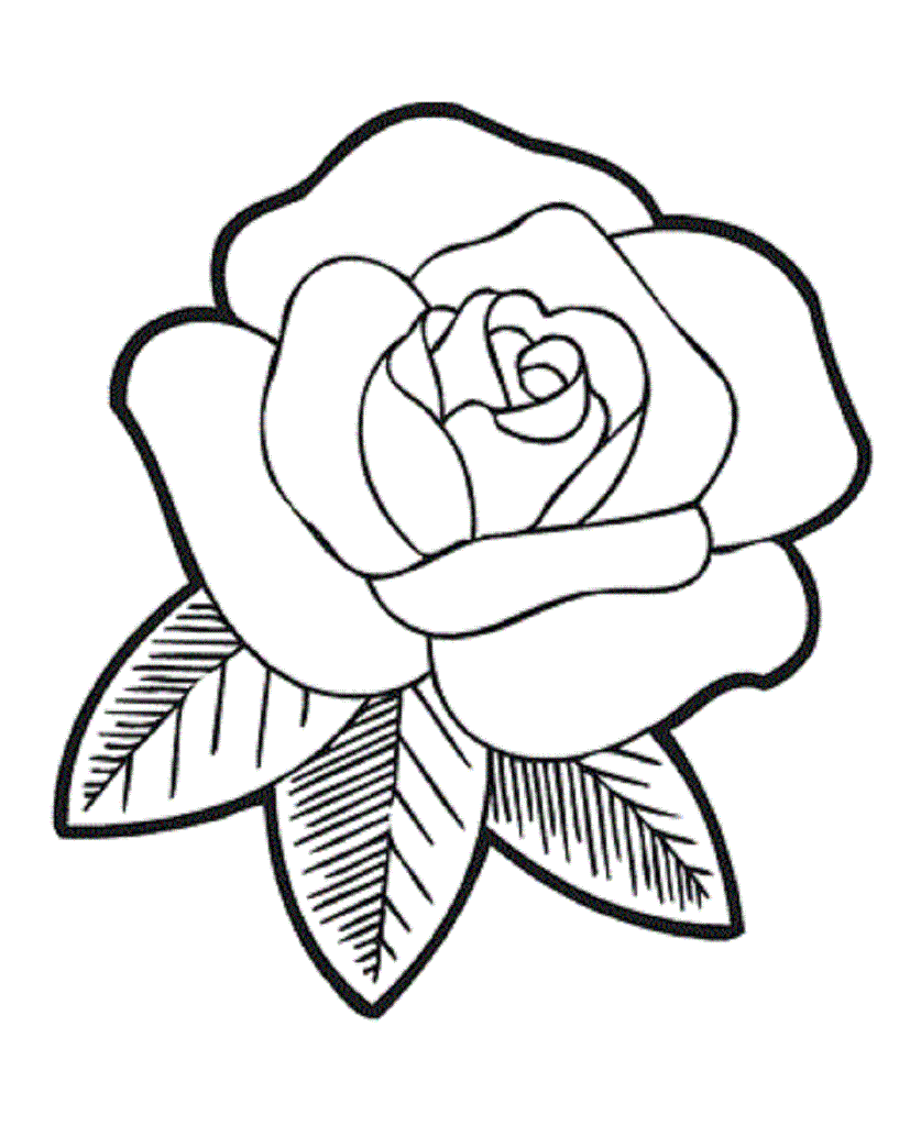 clipart de rose - photo #49