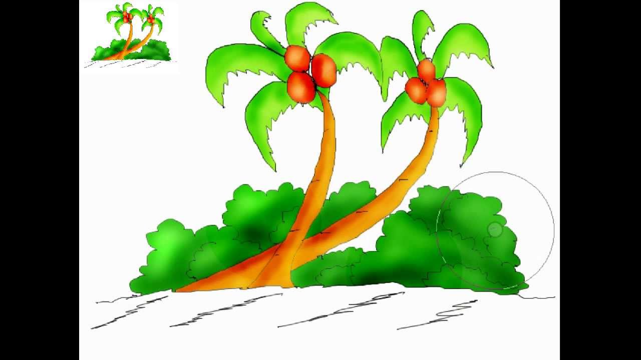 free-coconut-tree-drawing-download-free-coconut-tree-drawing-png