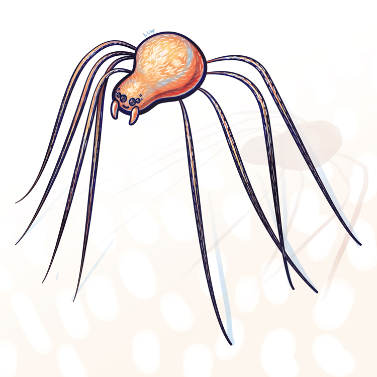 July 12th - Spiders : SketchDaily