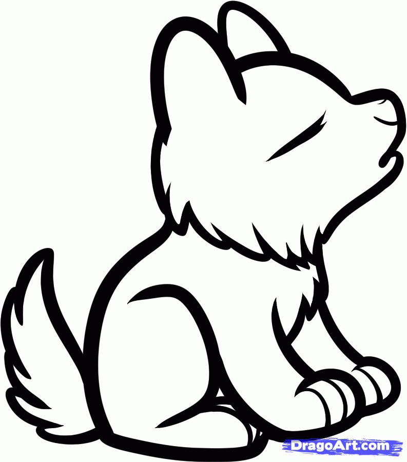 baby wolf drawing easy - Clip Art Library