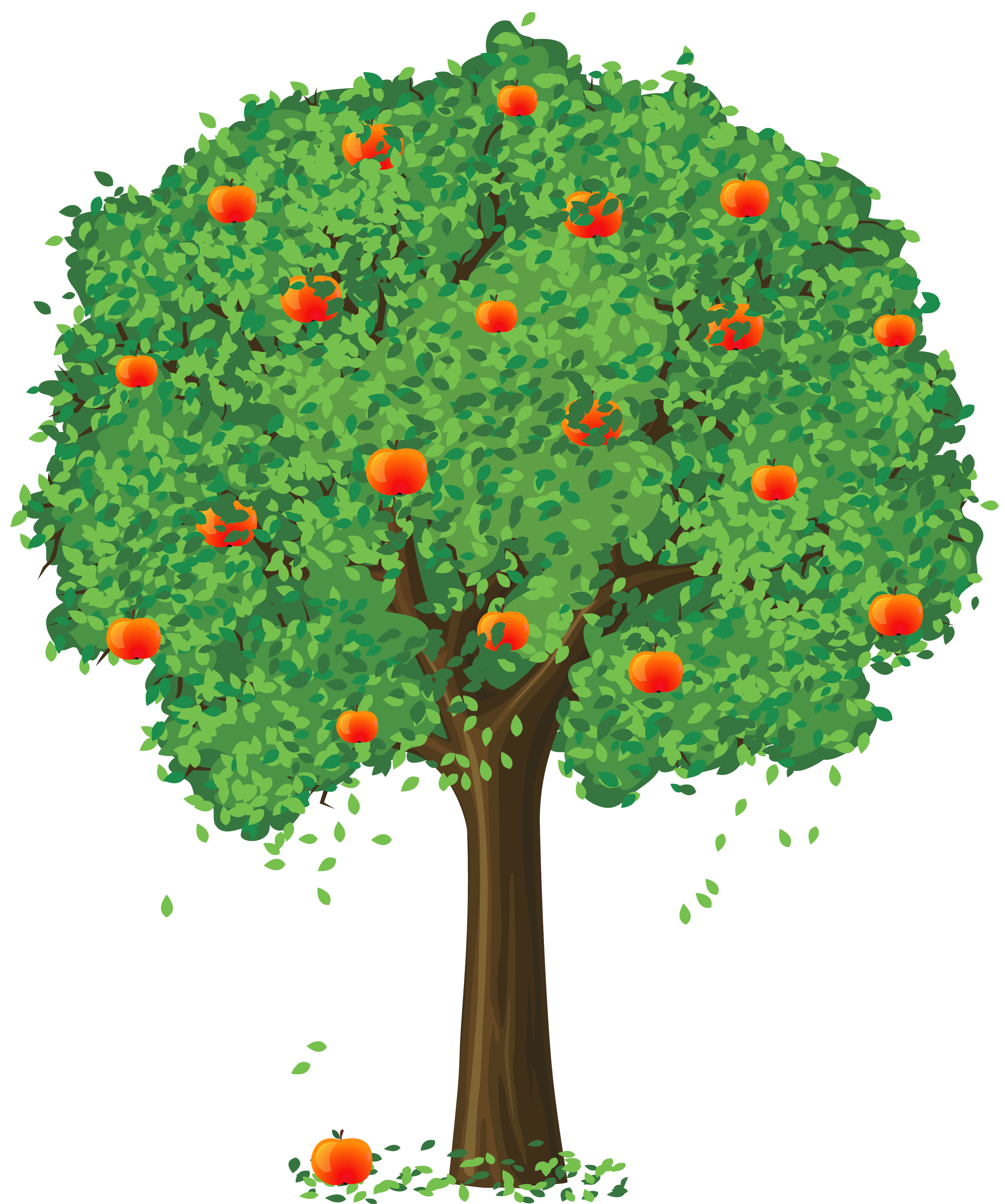 Painted Apple Tree PNG Clipart