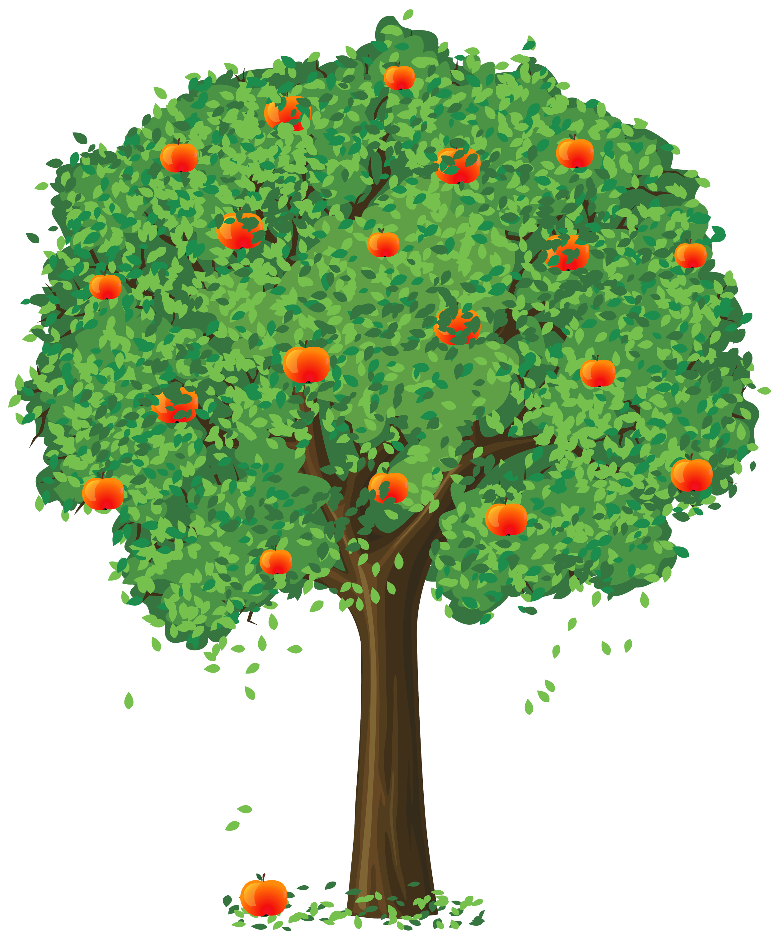 fruit tree clipart