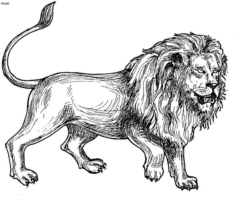 images � lion coloring � Page 2 @ HD Wallpaper HD Pictures
