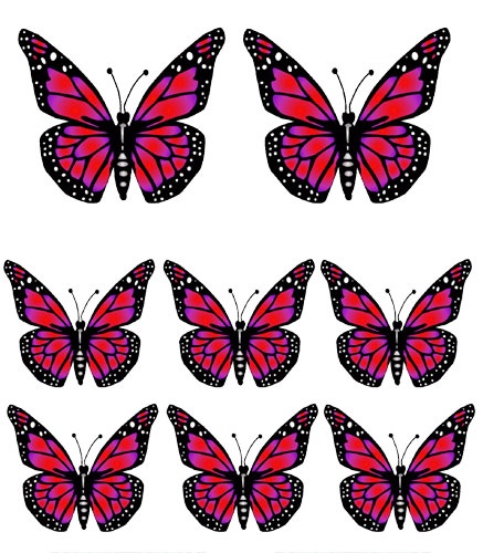 Free Images Of Butterflies - Clipart library