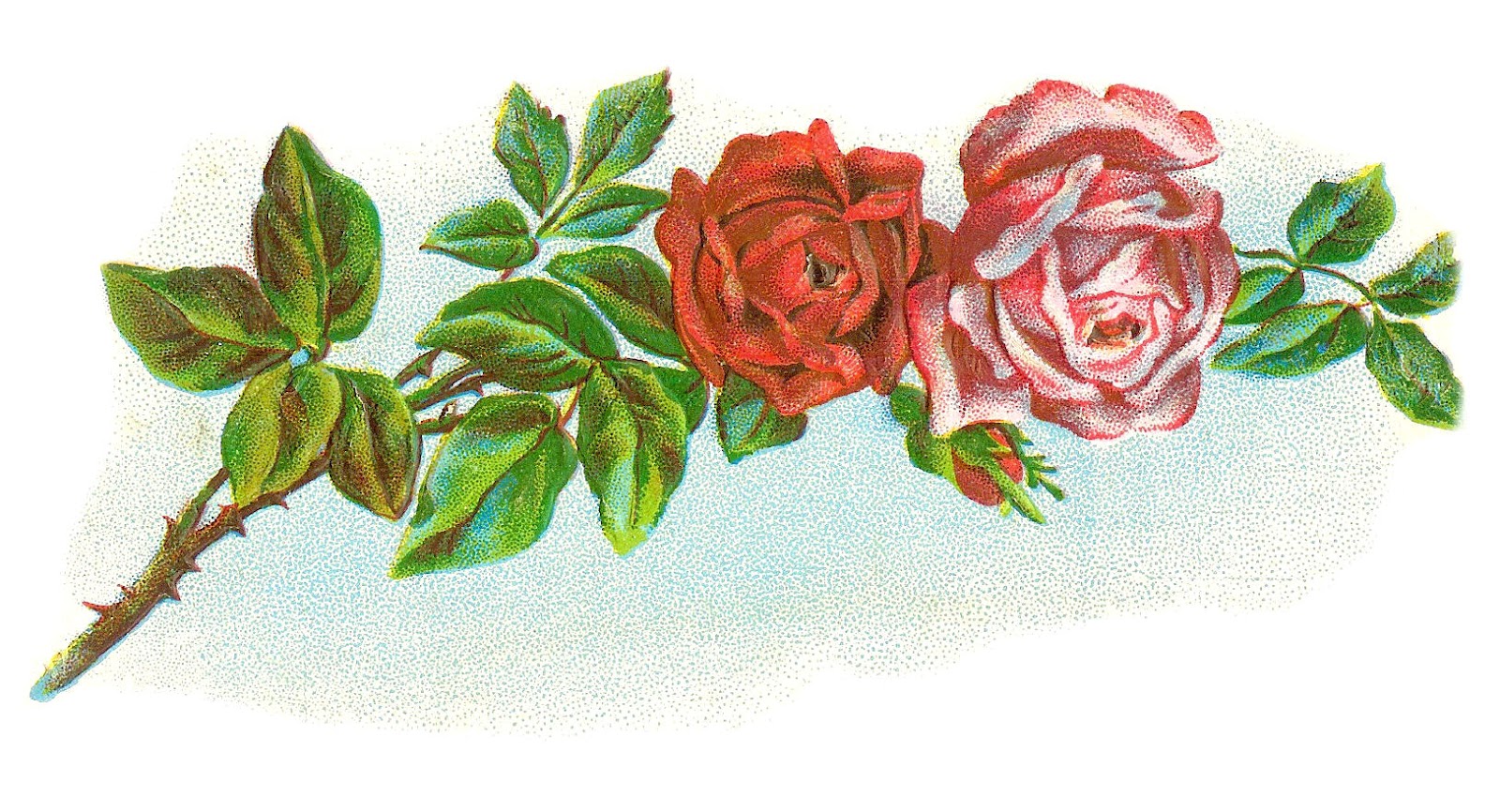 Rose Graphic - Clipart library